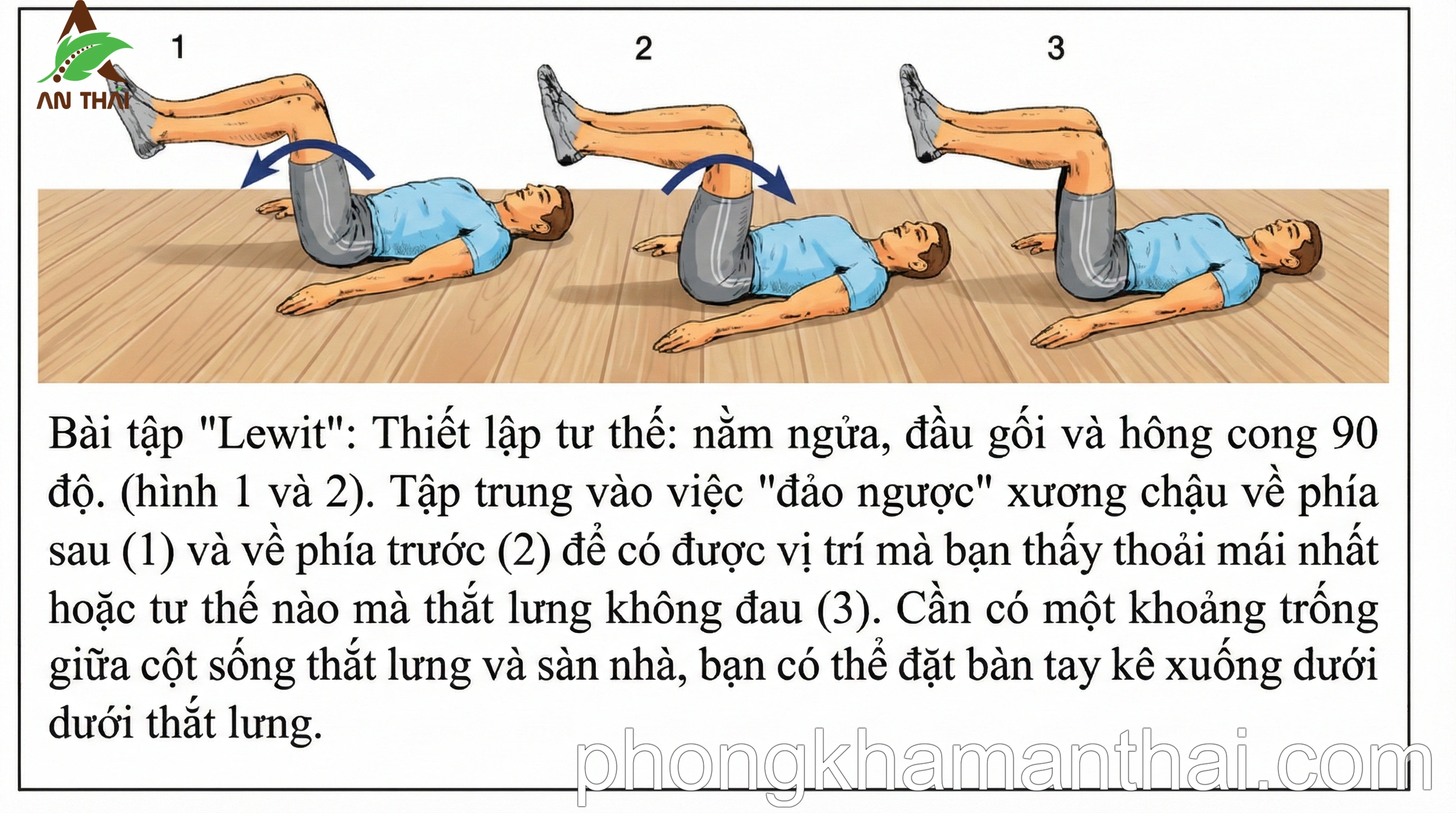 Bài tập Lewit